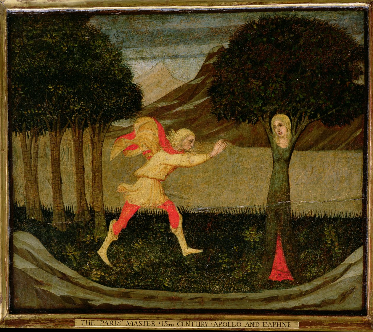 Die Metamorphose der Daphne von Master of the Judgement of Paris