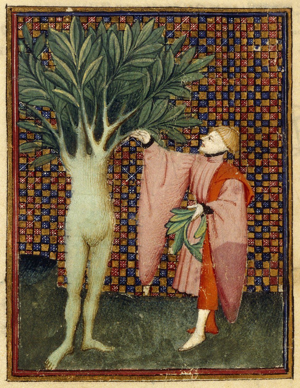 Apollo und Daphne von Master of the Cité des Dames