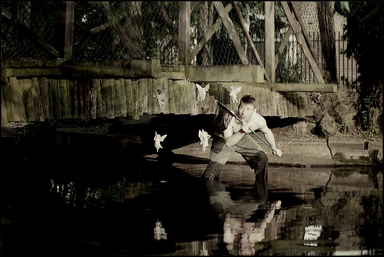 Feen fangen 3 von Mat Collishaw