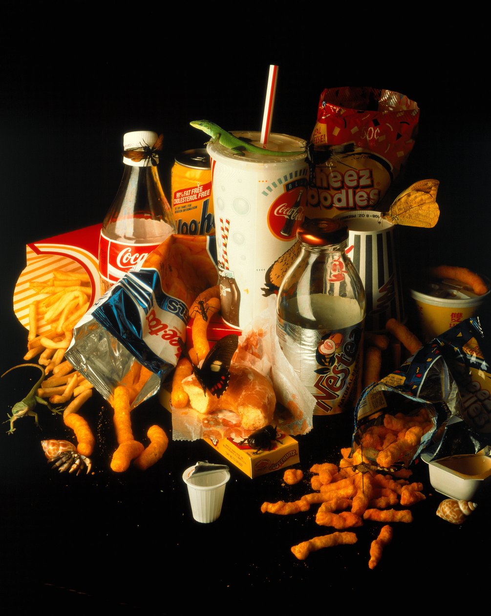 Natura Morte 1 von Mat Collishaw