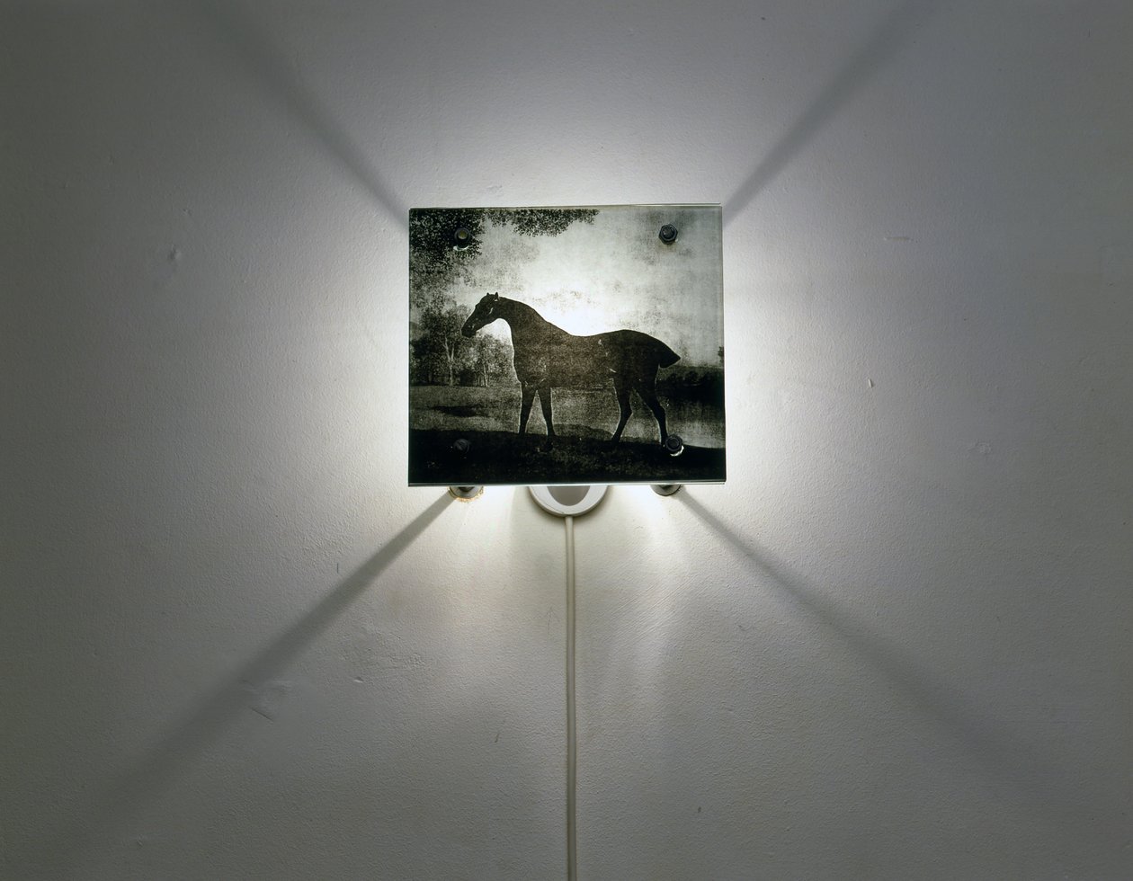 Stubbs Pferde von Mat Collishaw
