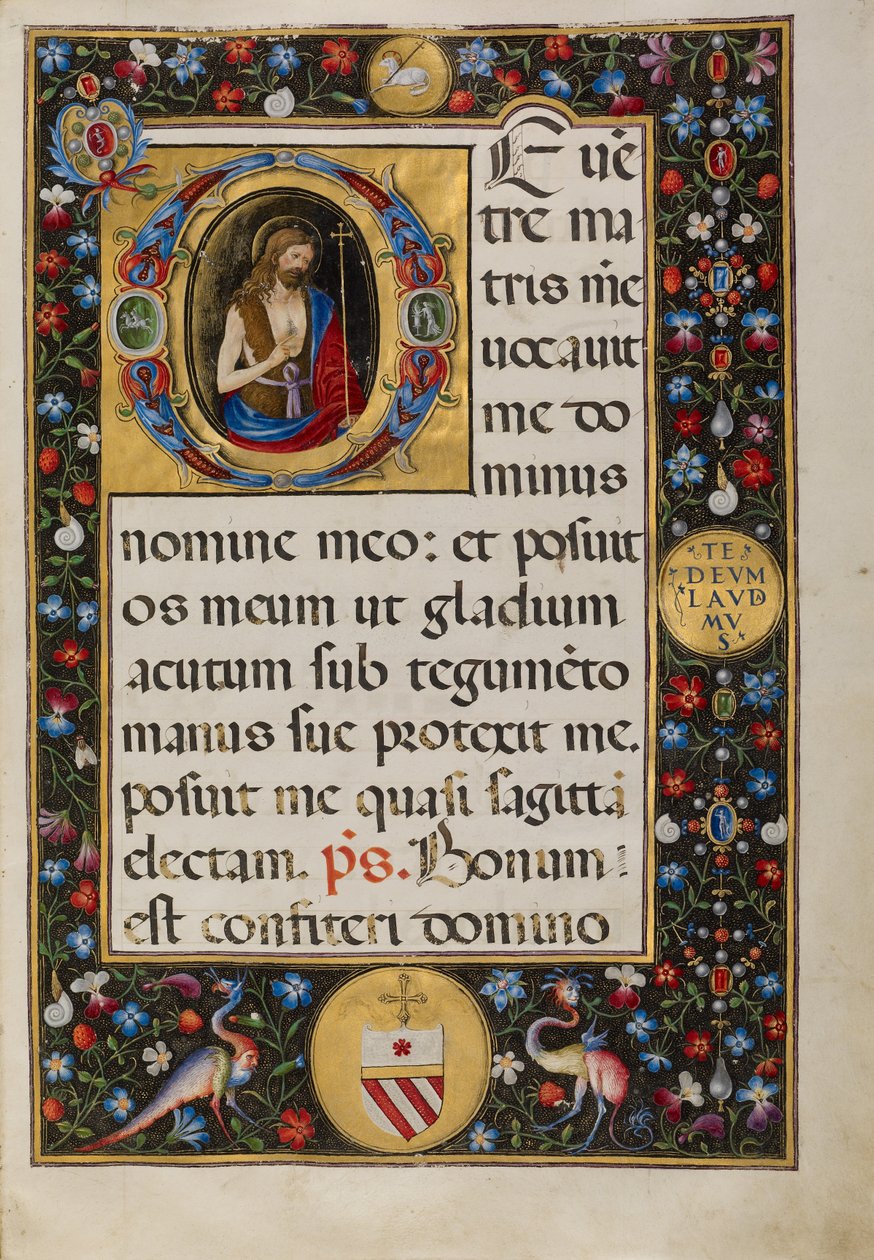 Initiale D: Johannes der Täufer von Matteo da Milano