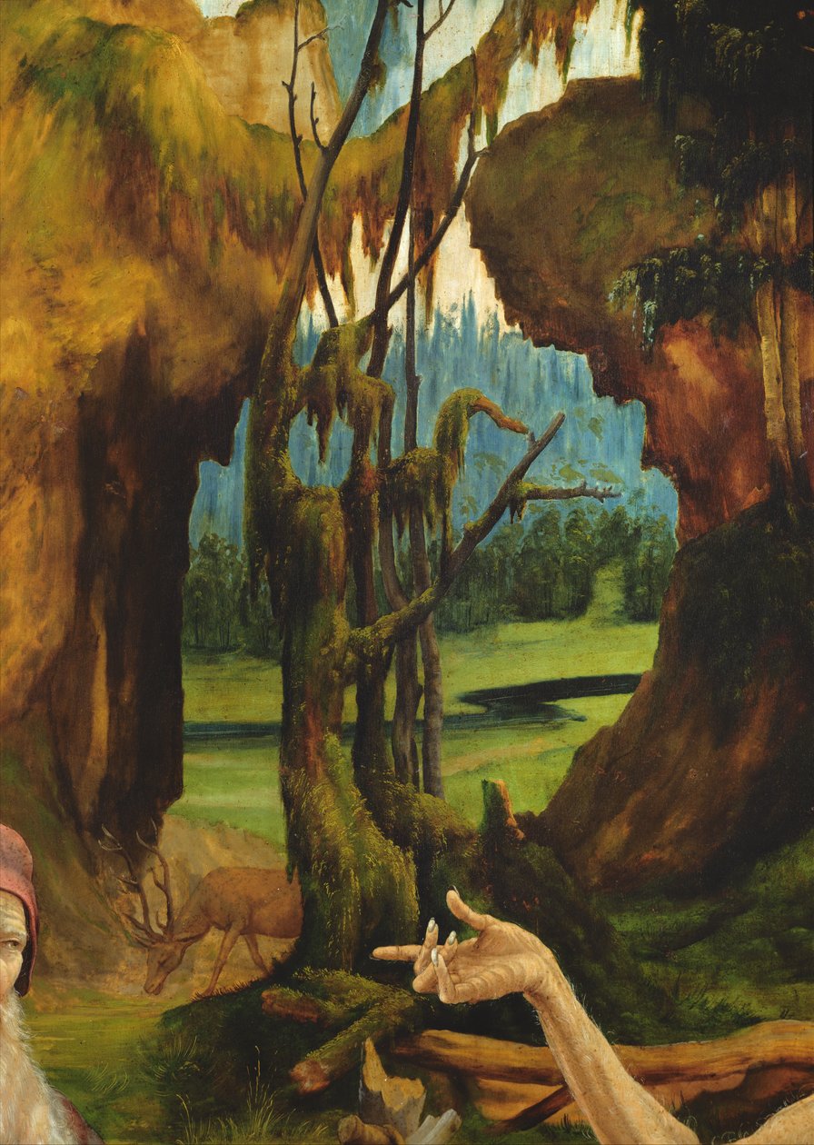 Isenheimer Altar (Detail) der Hand von St. Paulus dem Einsiedler von Matthias Grünewald