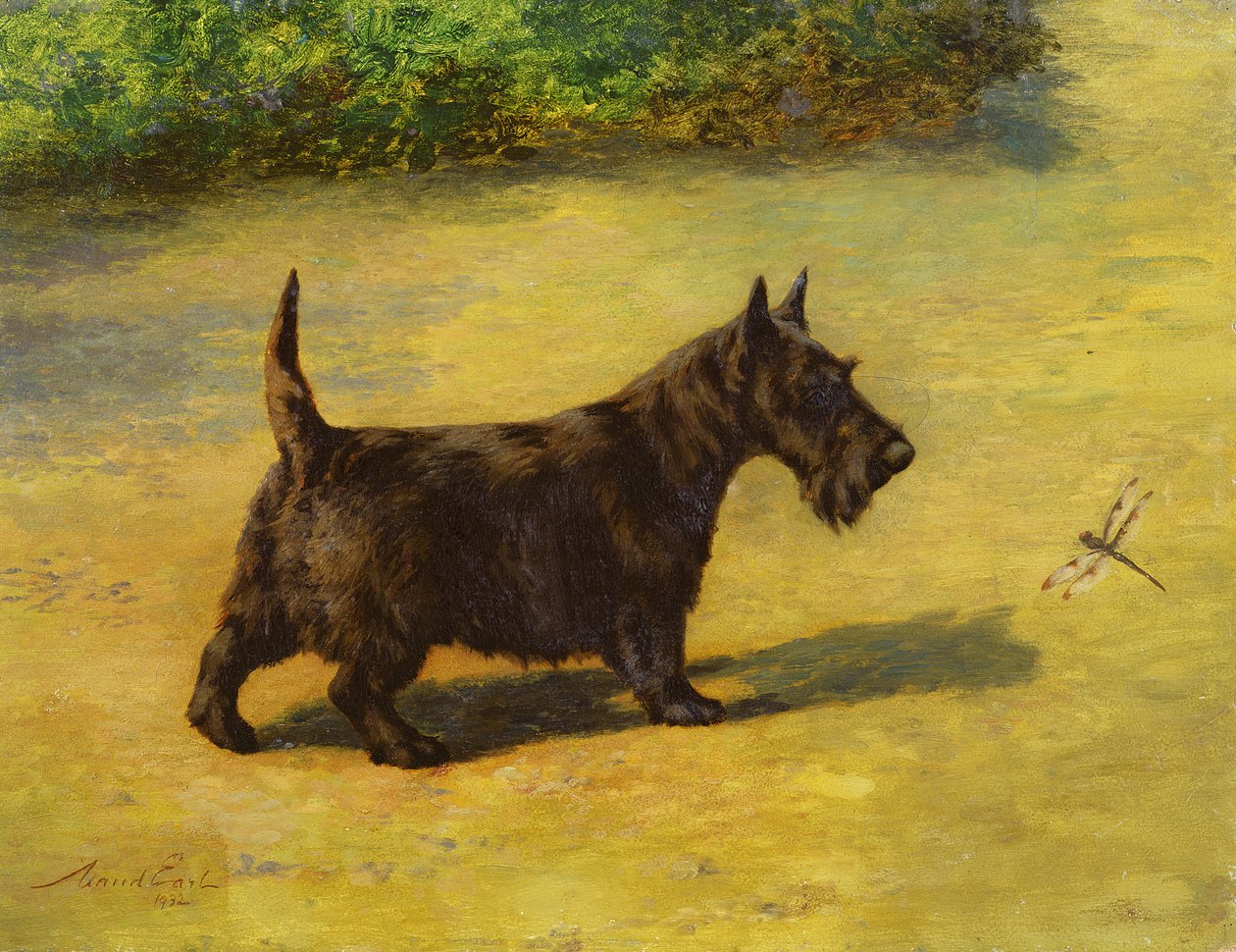 Ein neugieriger Blick von Maud Earl