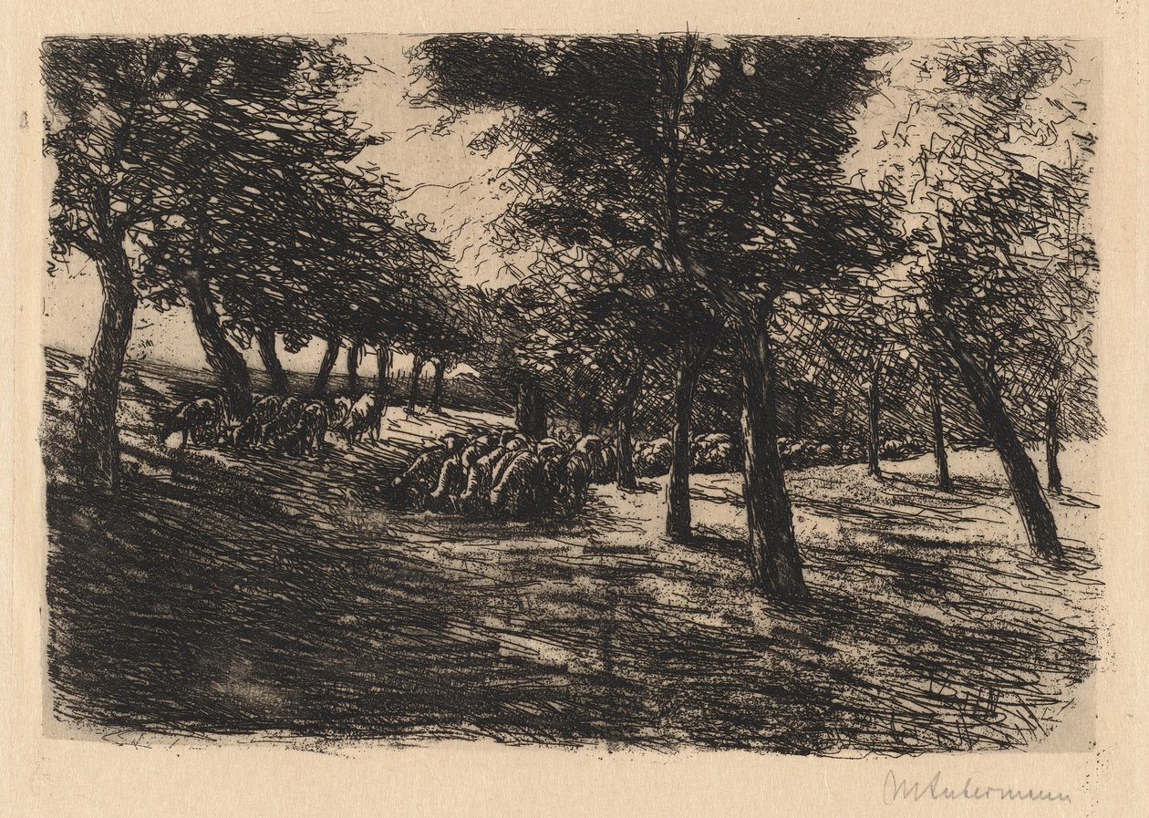 Schafherde unter Bäumen, 1891 von Max Liebermann