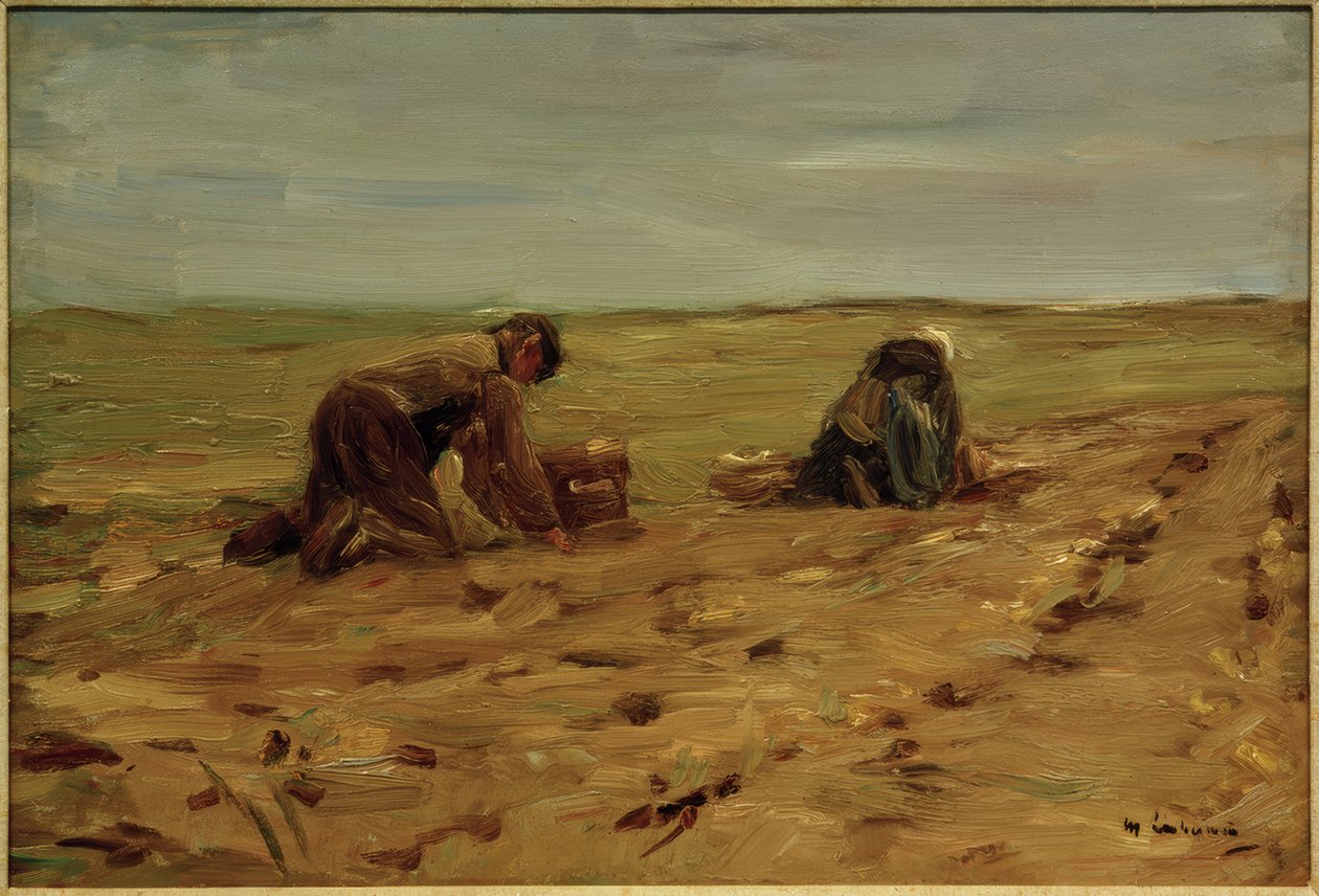 Kartoffelernte in den Dünen von Max Liebermann