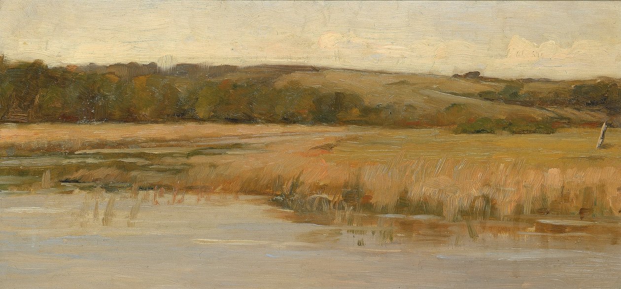 Hügel und Marschland von Max Weyl