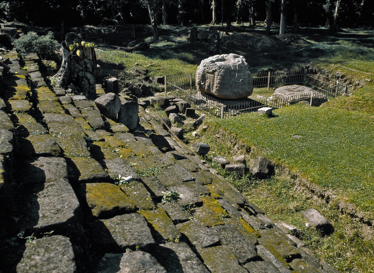 Zoomorpher Altar P von Mayan