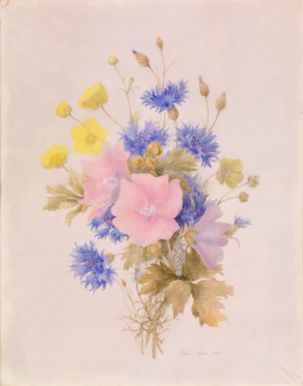 Feldblumen von Melanie Marc