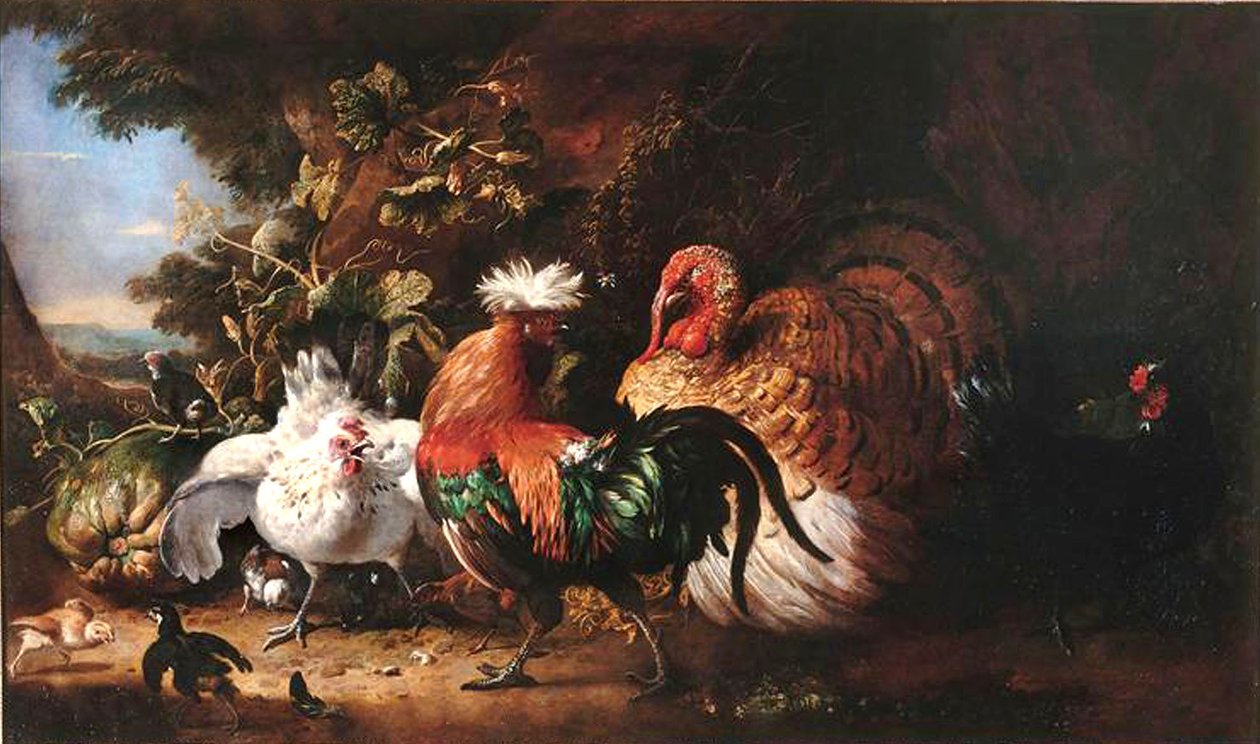 Oiseaux de basse-cour von Melchior d
