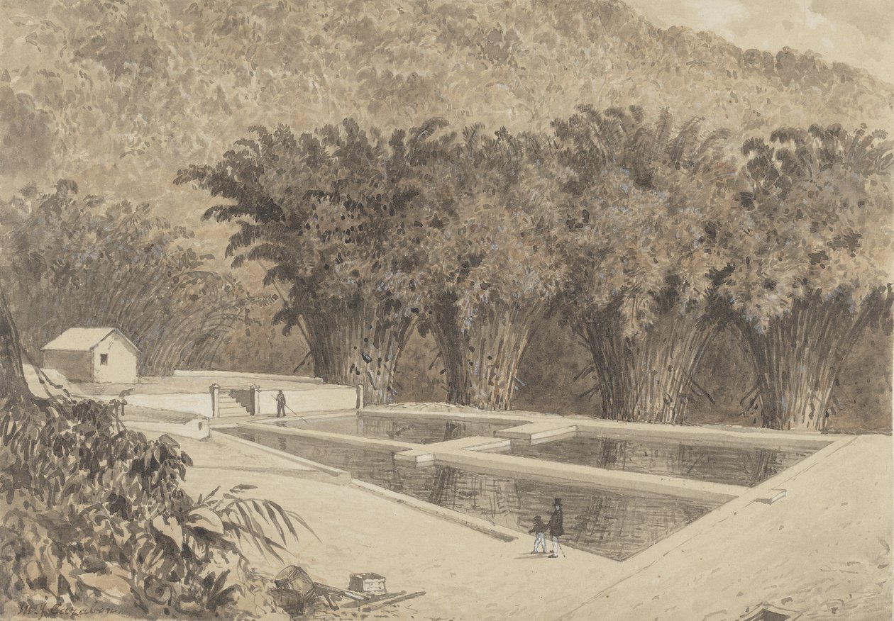 Das Reservoir in Maraval von Michel Jean Cazabon