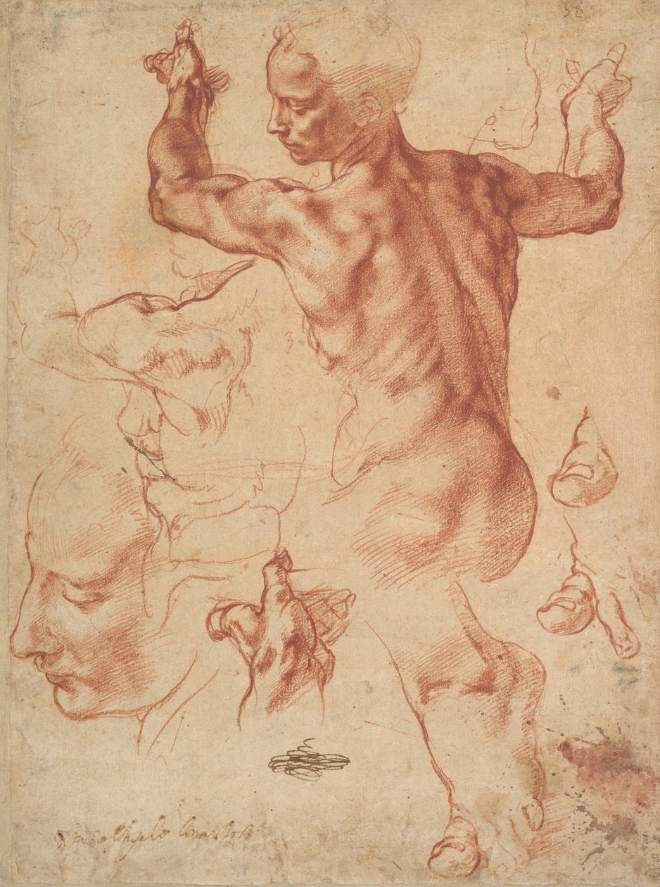 Studien für die Libysche Sibylle (recto), ca. 1510-11 von Michelangelo Buonarroti