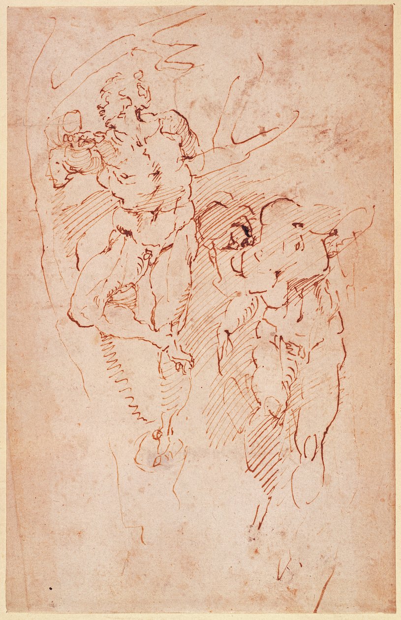 Studien männlicher Akte von Michelangelo Buonarroti