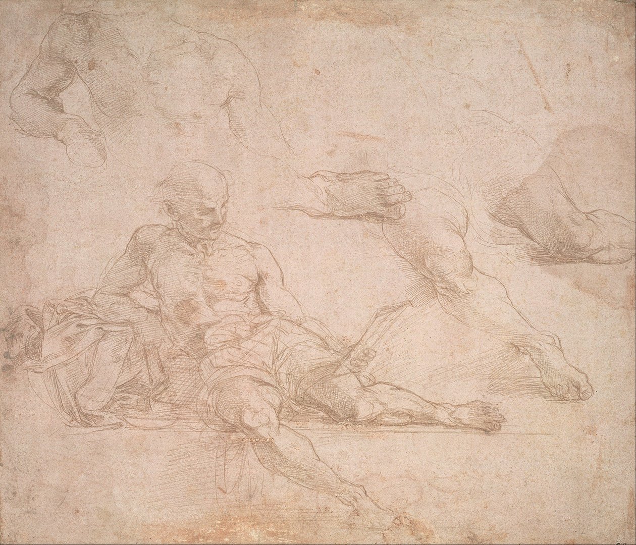 Studie für die Figur des Diogenes in der Schule von Athen von Michelangelo Buonarroti