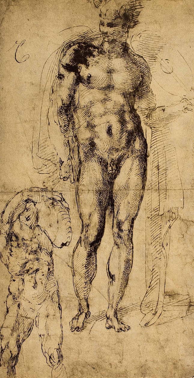 Studie von Akten; Zeichnung von Michelangelo. Der Louvre, Paris von Michelangelo Buonarroti
