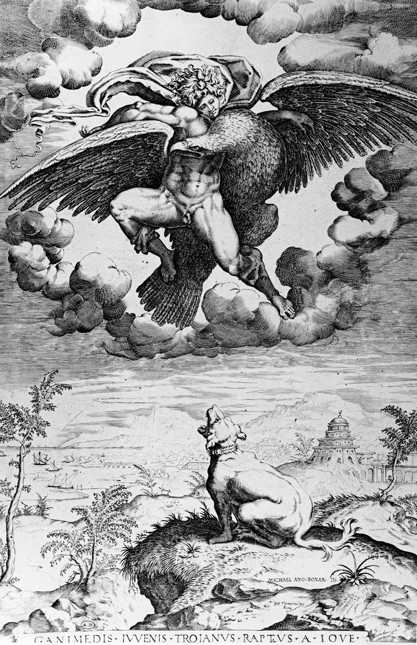 Die Entführung des Ganymed von Michelangelo Buonarroti