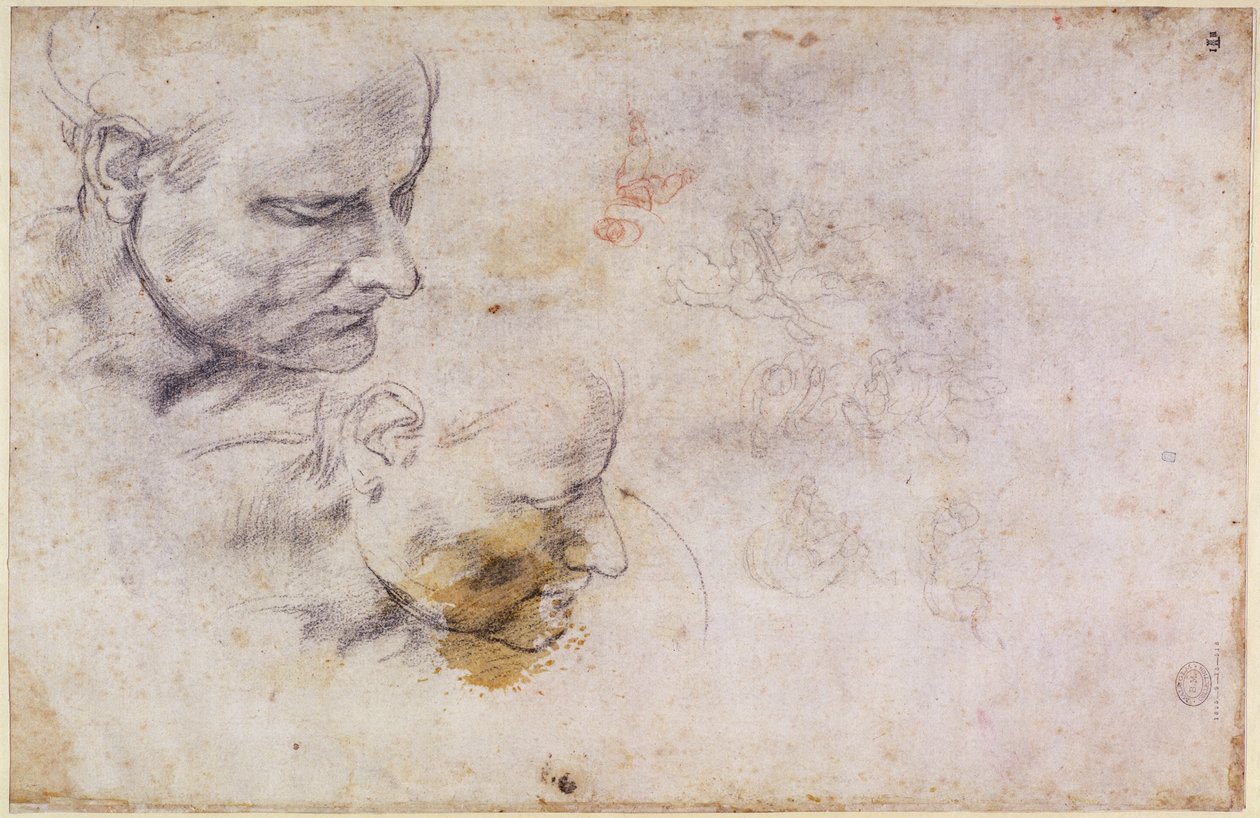 W.60 Skizze eines männlichen Kopfes, in zwei Positionen von Michelangelo Buonarroti