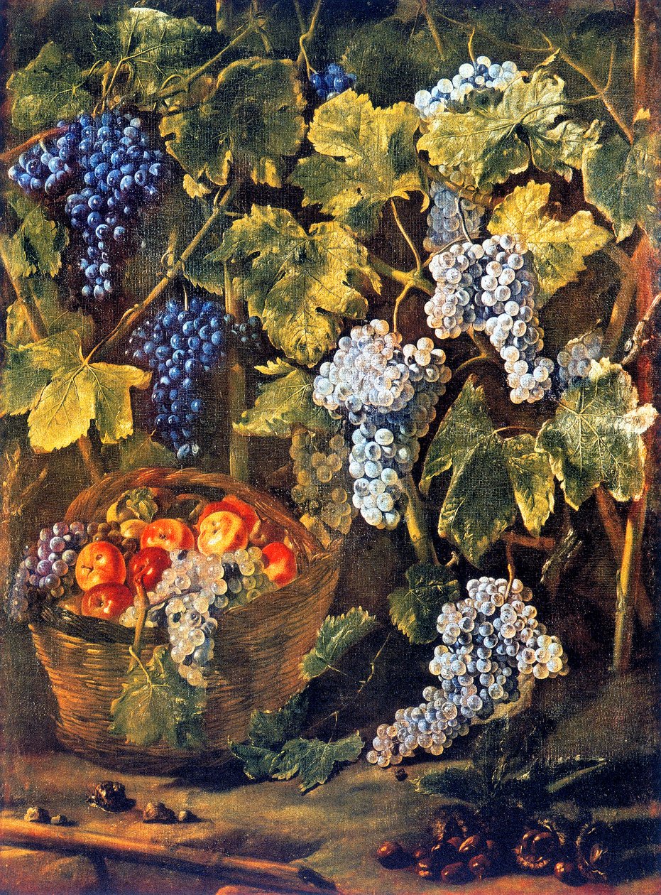 Stillleben mit einem Korb voller Früchte, Kastanien und einem Hintergrund aus Reben und Trauben von Michelangelo Cerquozzi