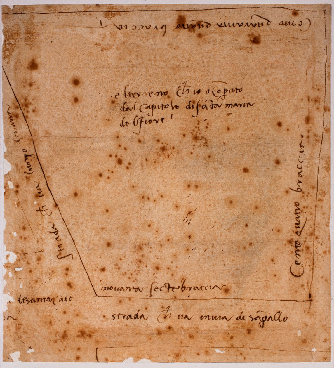 Grundriss von Michelangelo Buonarroti