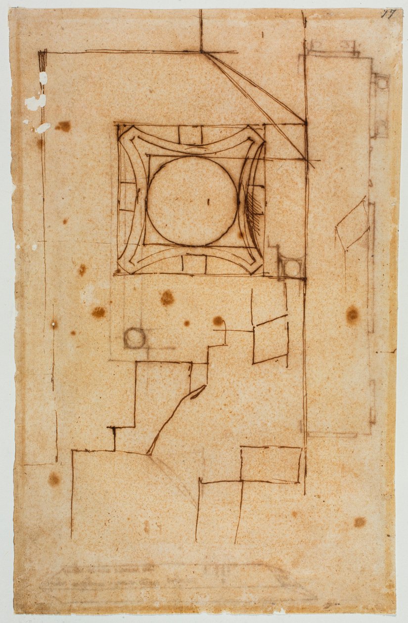 Horizontalschnitt eines Kapitells von Michelangelo Buonarroti