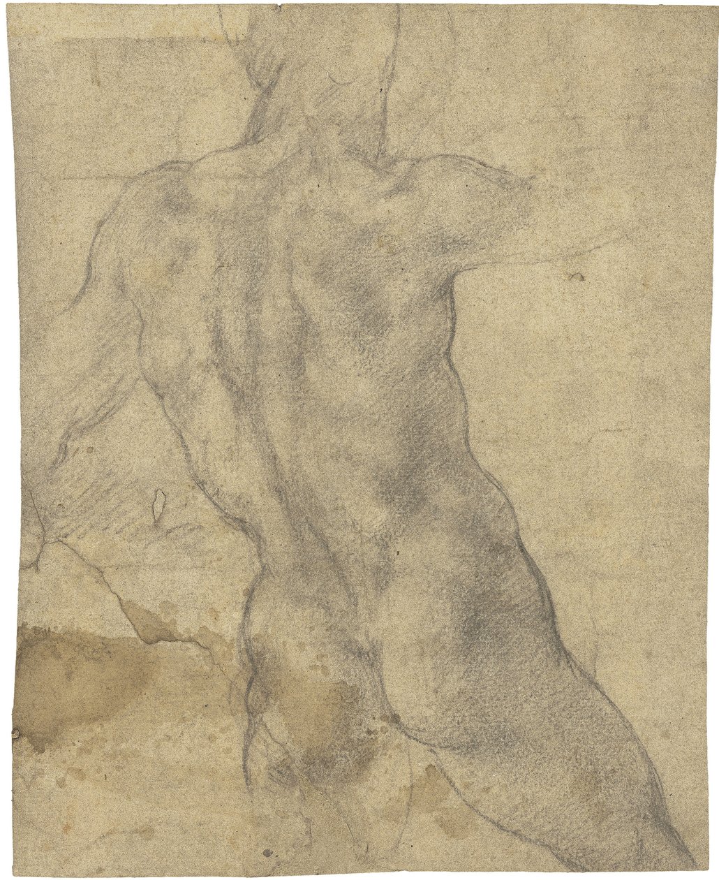 Männlicher Akt von Michelangelo Buonarroti