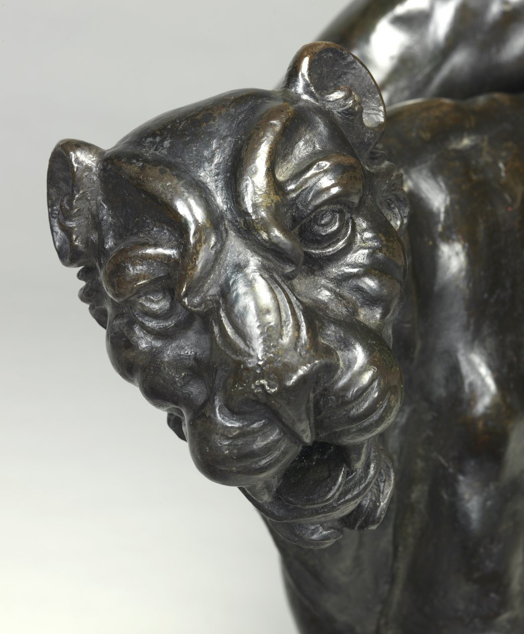 Nackte Bacchantinnen reiten auf Panthern von Michelangelo Buonarroti