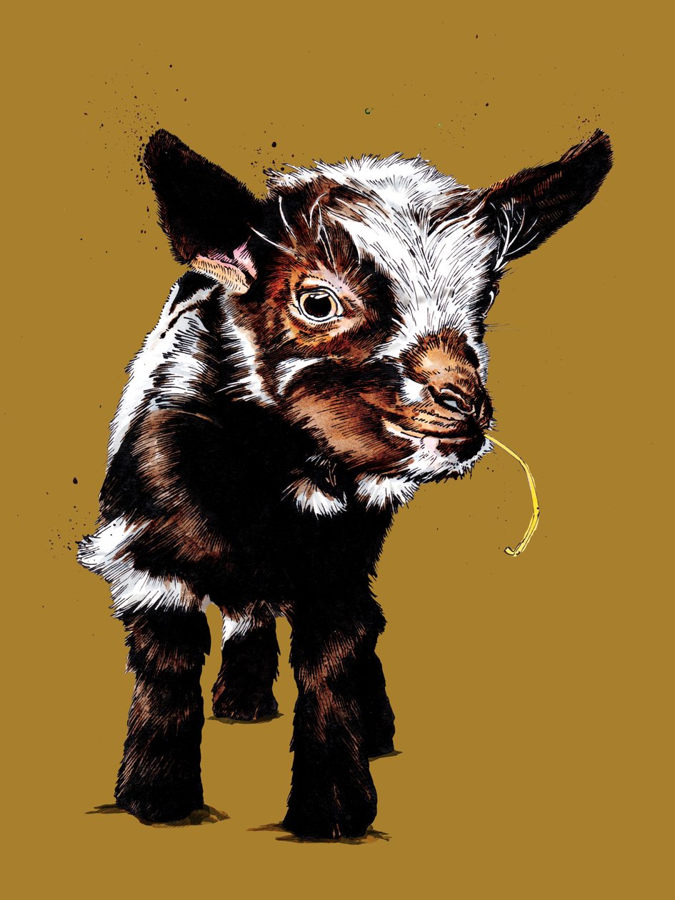 Babyziege auf Goldgelb, 2020 von Mike Davis