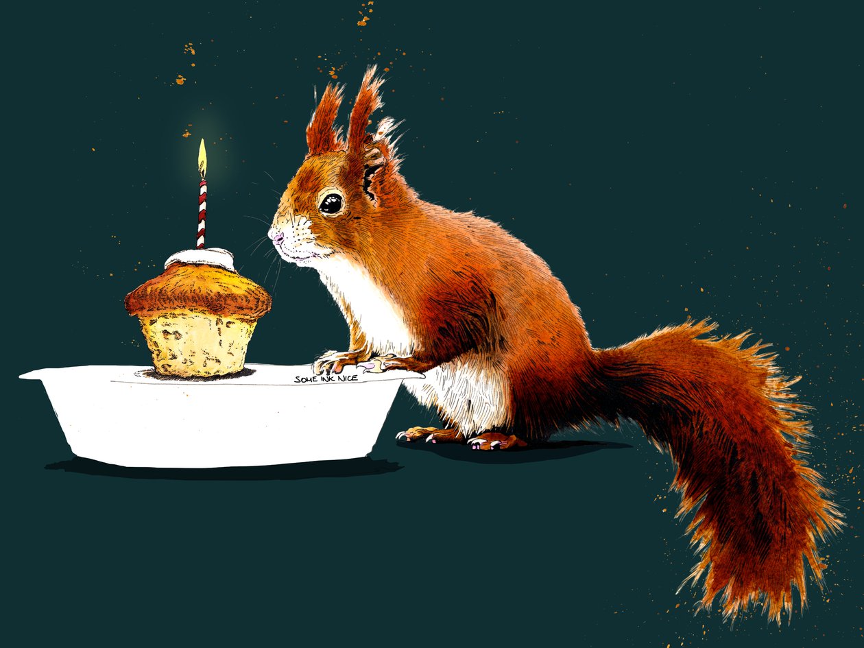 Geburtstag Eichhörnchen auf Tiefcyan, 2020 von Mike Davis