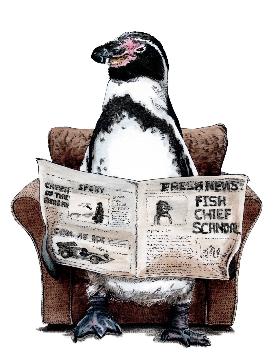 Ruhestandspinguin auf Weiß, 2020 von Mike Davis
