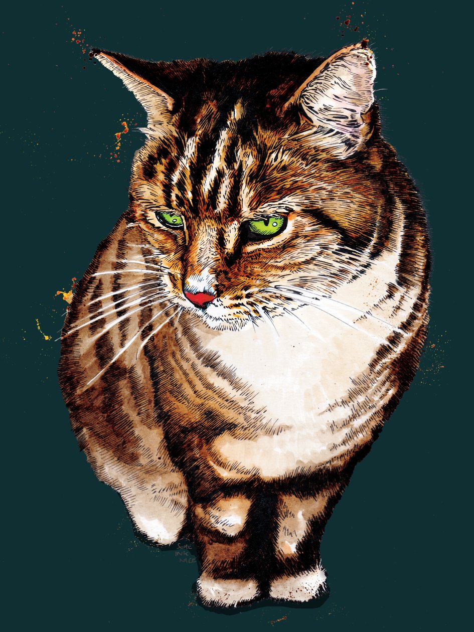 Die Tigerkatze auf Tiefcyan, 2020 von Mike Davis