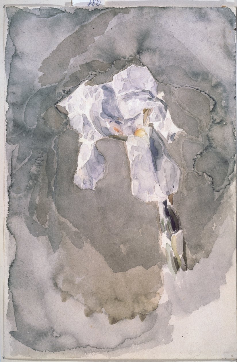 Weiße Iris von Mikhail Aleksandrovich Vrubel