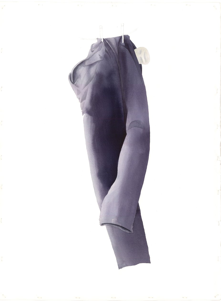 Larky Tiree Hose, 2004 von Miles Contemporary Artist Thistlethwaite