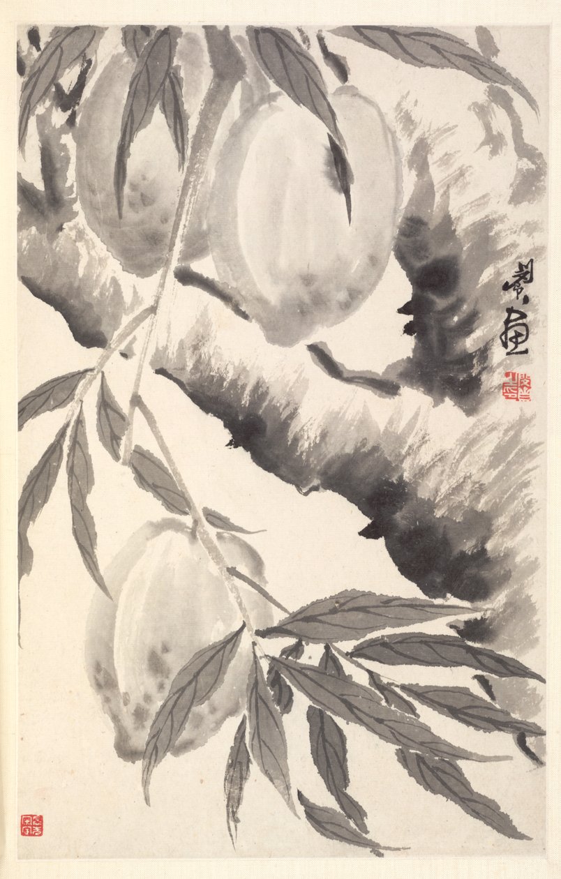 Pfirsiche von Min Zhen