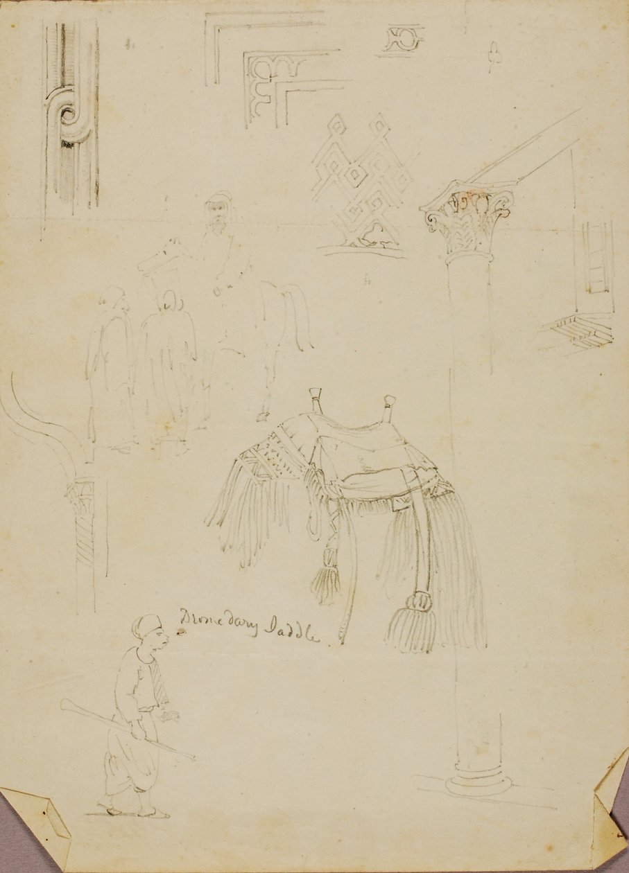 Dromedarsattel/Studien von Miner Kilbourne Kellogg