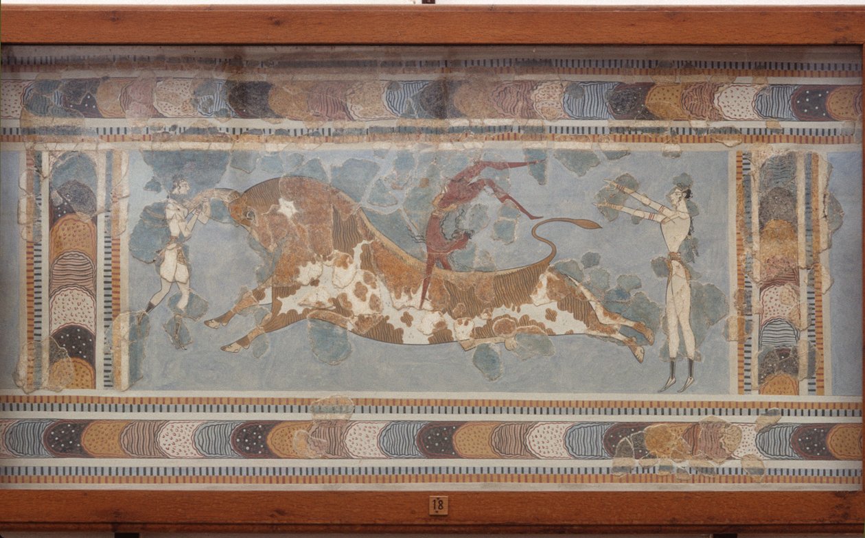 Stierkampffresko, aus Knossos, gemalt um 1550-1450 v. Chr. von Minoan