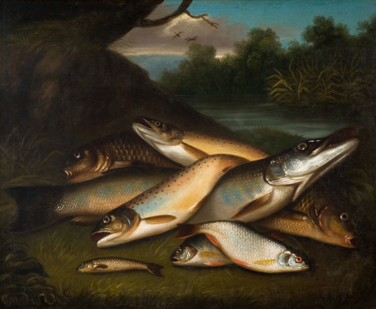 Fisch, 1790 von Moses Haughton