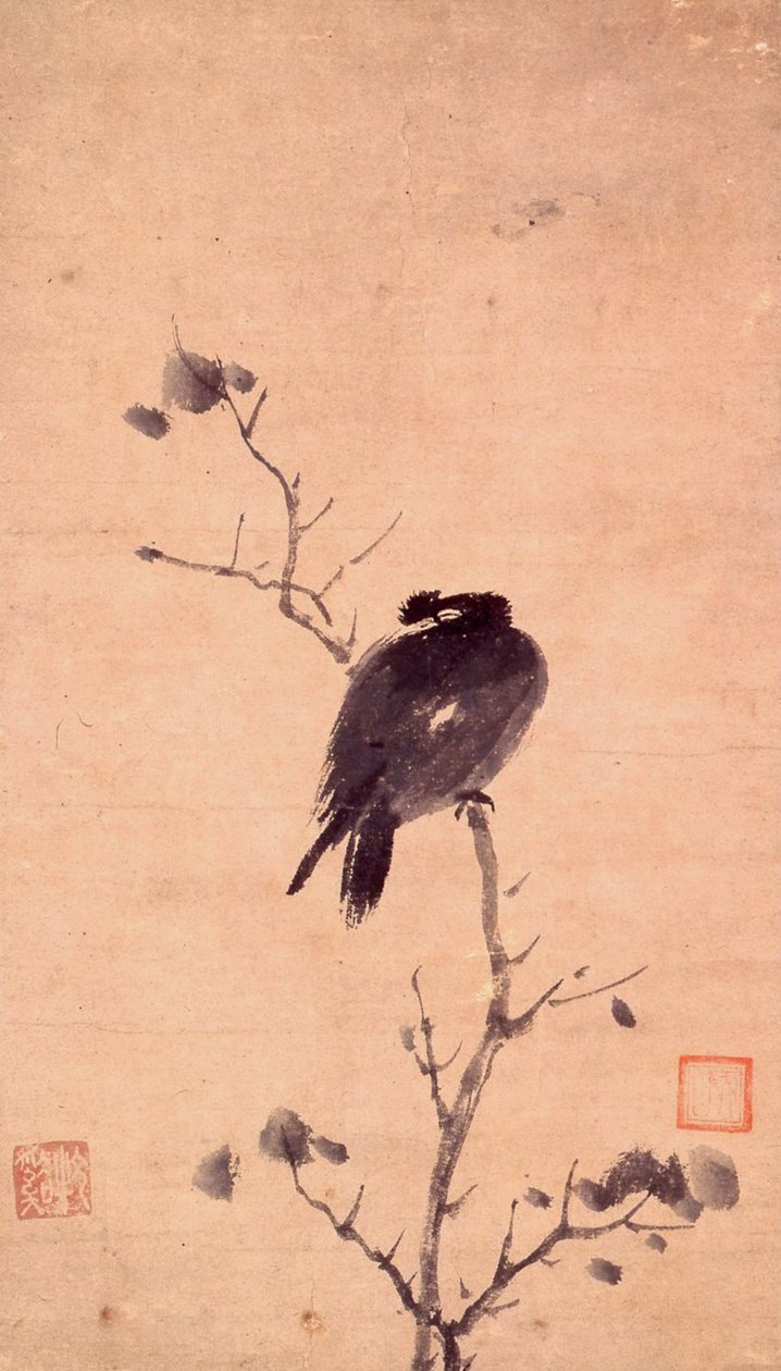 Mynavogel von Mu Xi