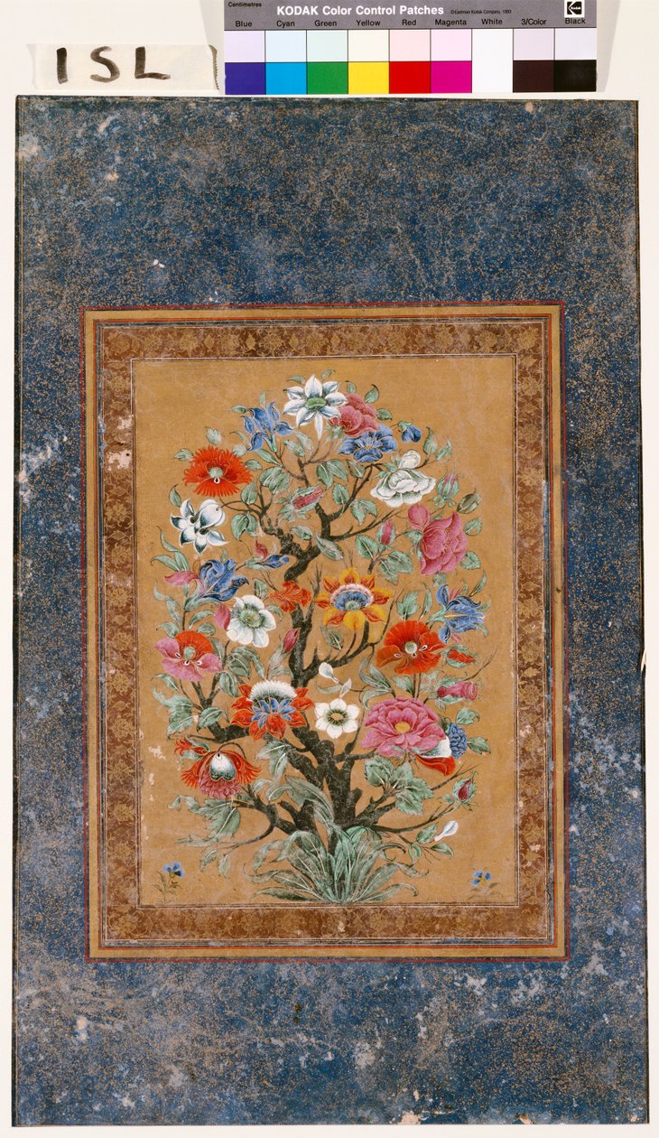 Mythische Pflanze von Mughal School
