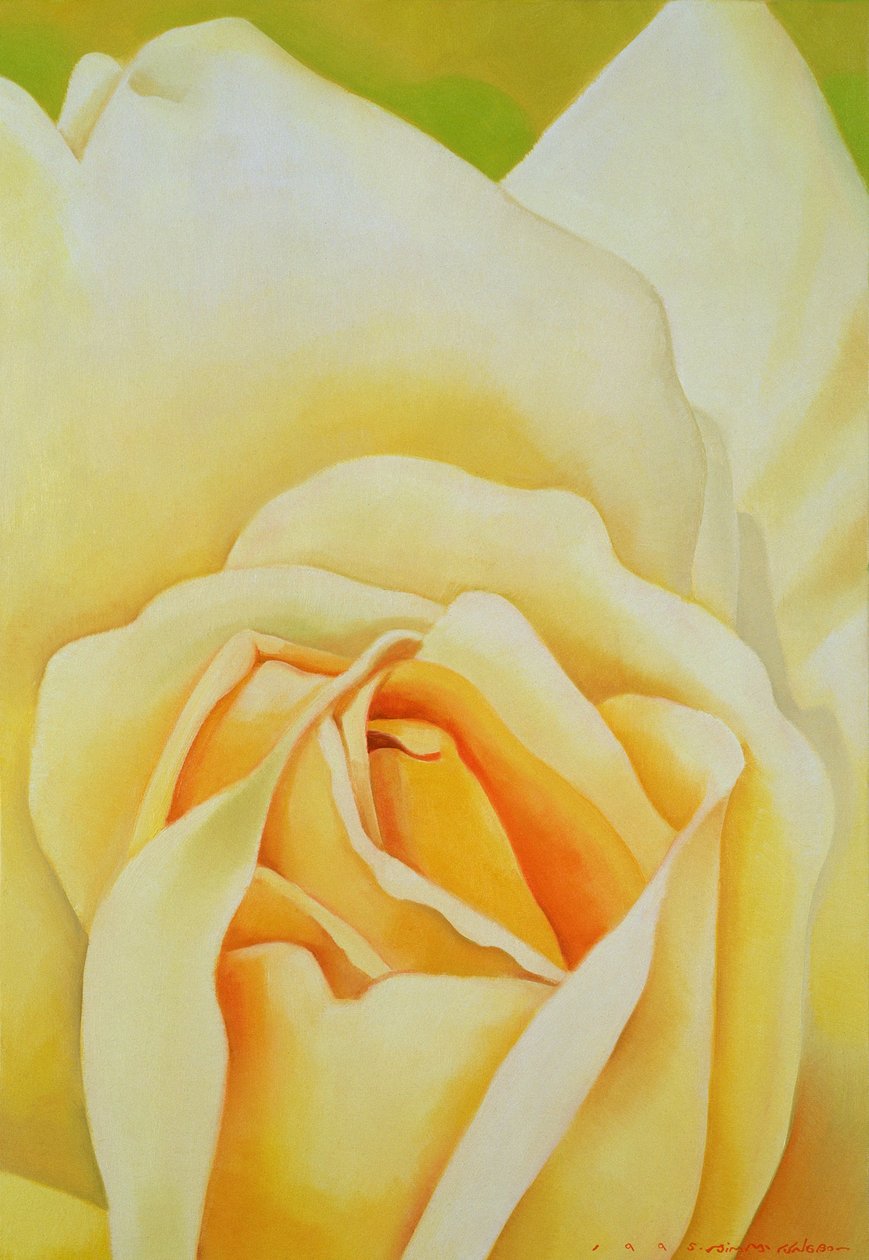 Die Rose, 1995 von Myung Bo Sim