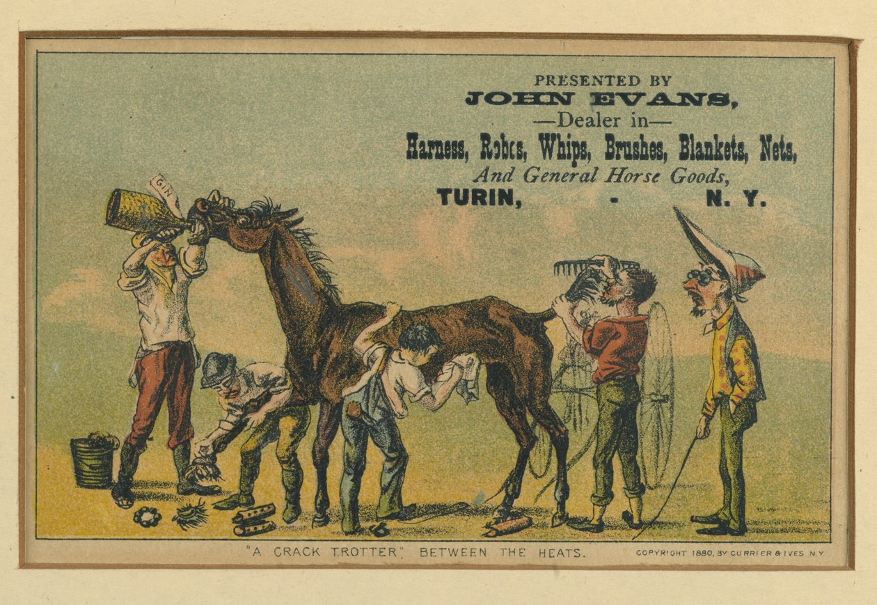 Ein schneller Traber zwischen den Rennen, 1880 von N. and Ives, J.M. Currier