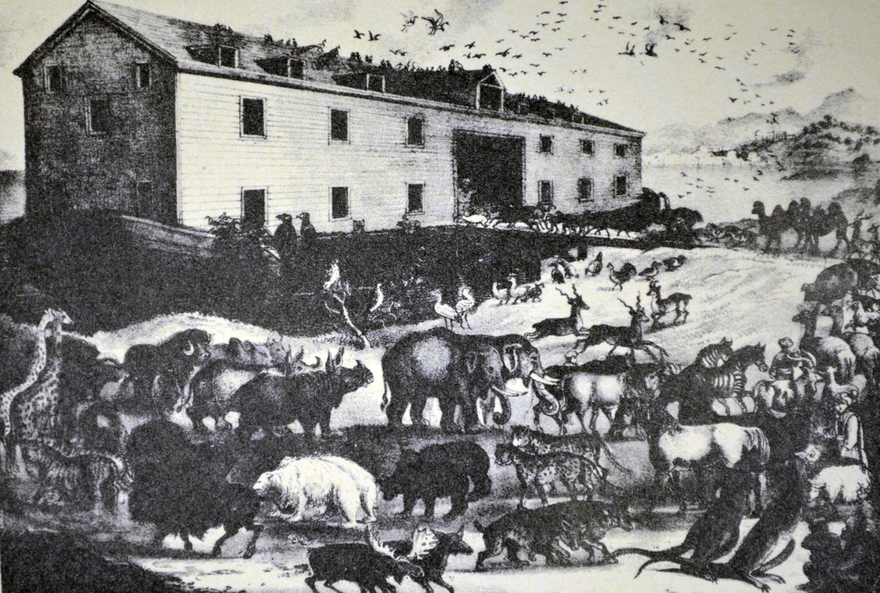 Noahs Arche von N. and Ives, J.M. Currier
