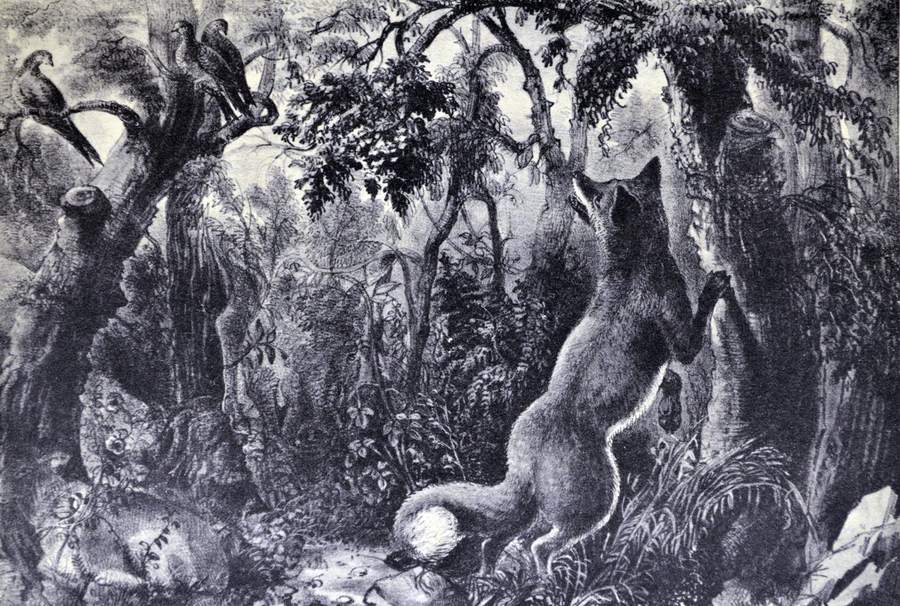 Der verwirrte Fuchs von N. and Ives, J.M. Currier