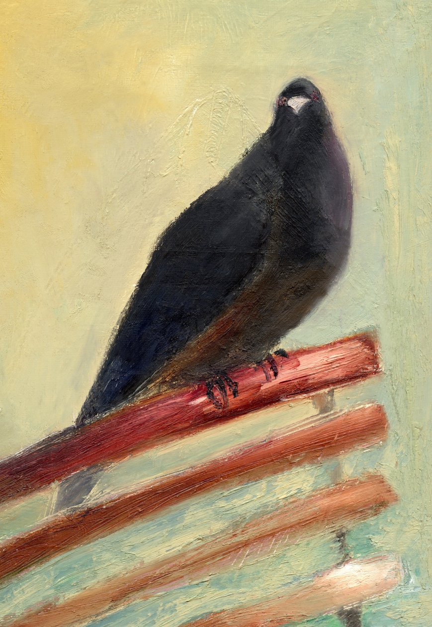 Kingly Court Taube, 2013 von Nancy Moniz Charalambous