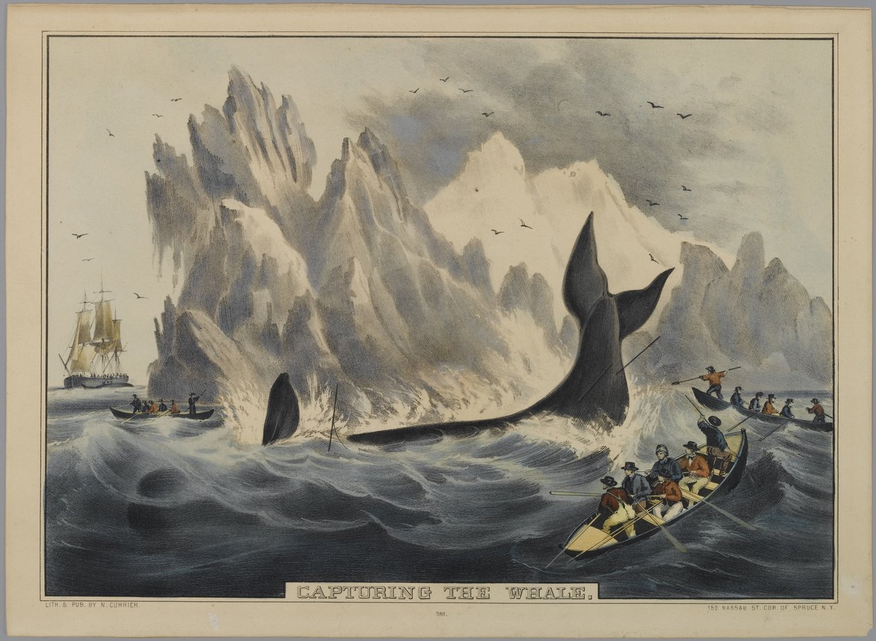 Fang des Wals von Nathaniel Currier