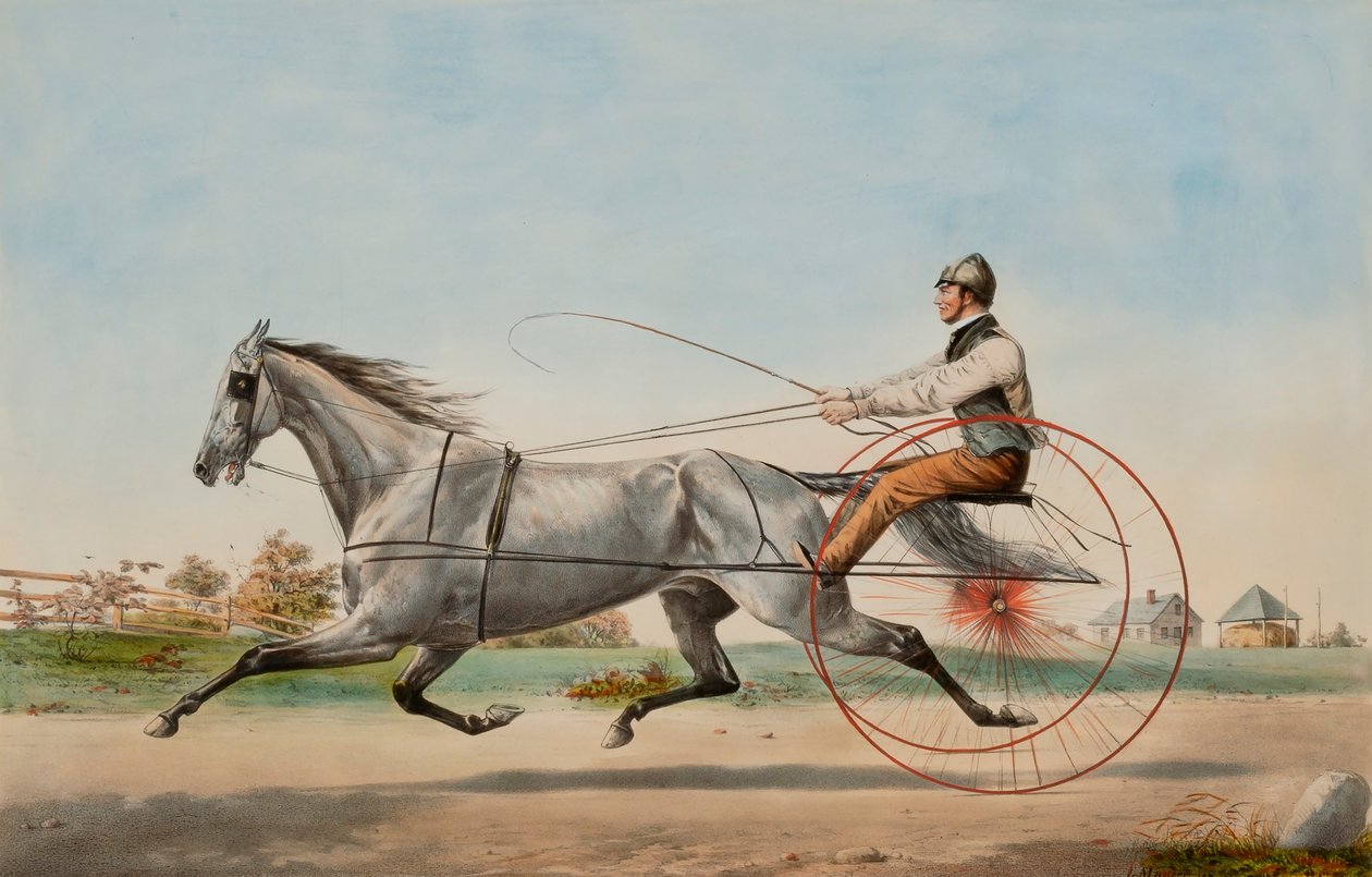 Grauer Wirbel von Nathaniel Currier