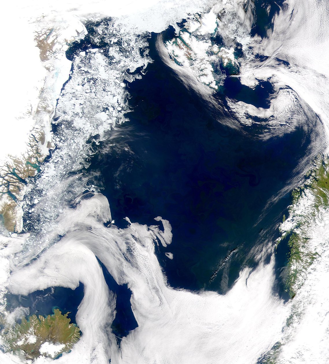 Die kalten, produktiven Gewässer des Grönlandmeeres und des Norwegischen Meeres werden in diesem SeaWiFS-Bild gezeigt. von National Aeronautics and Space Administration National Aeronautics and Space Administration