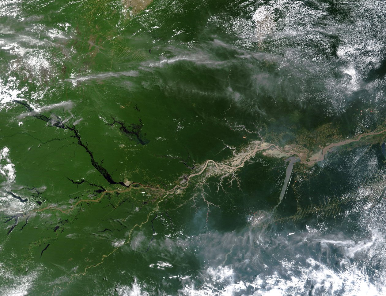 Echtfarben-Satellitenbild des Amazonas, durch den ein Fünftel des Flusswassers in die Ozeane der Erde fließt. Wissenschaft Geographie von National Aeronautics and Space Administration National Aeronautics and Space Administration