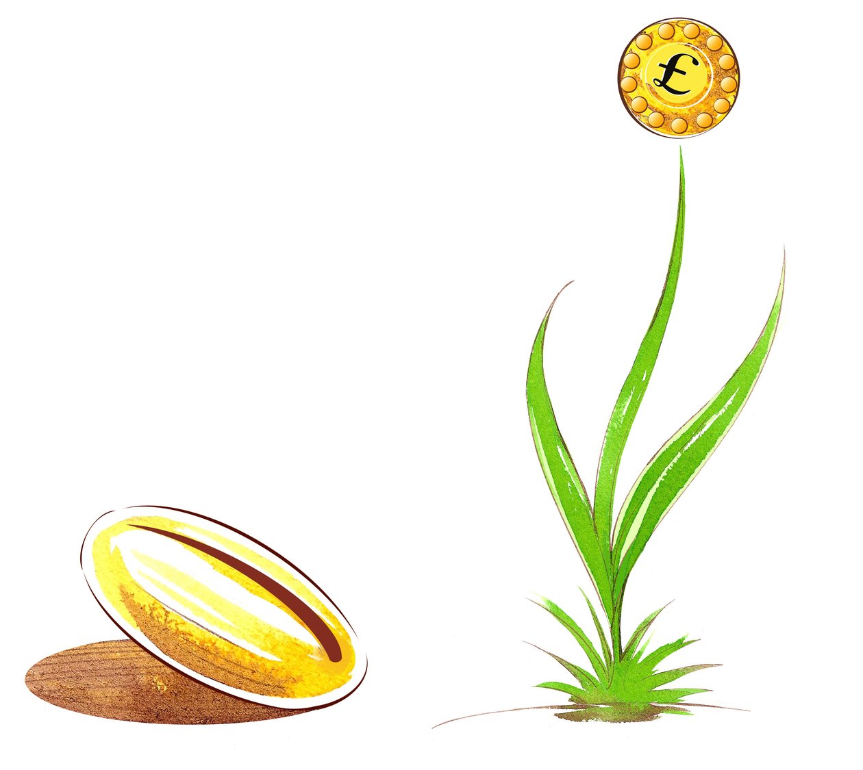 Samen und Spross - Illustration einer finanziellen Allegorie von Neale Osborne