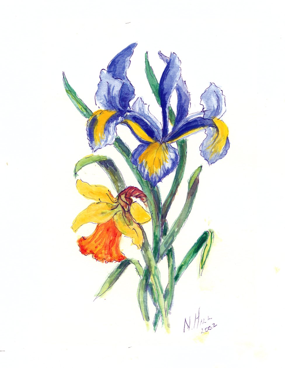 Blaue Iris und Narzisse, 2002 von Nell Hill