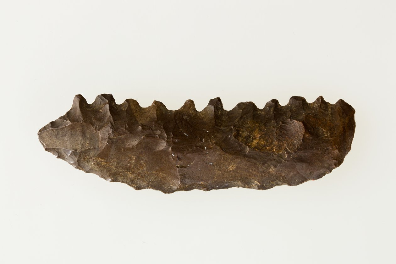 Bifaziales Sicheln, ca. 4500–4000 v. Chr. von Neolithic Neolithic